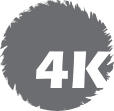 4K Holding 4K Holding